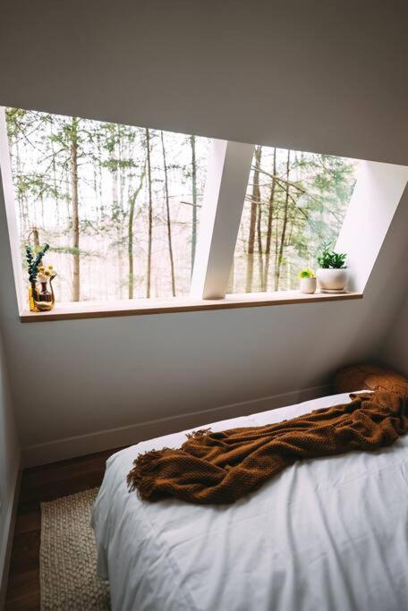 Dunlap Hollow A-Frame Rockbridge Exteriér fotografie