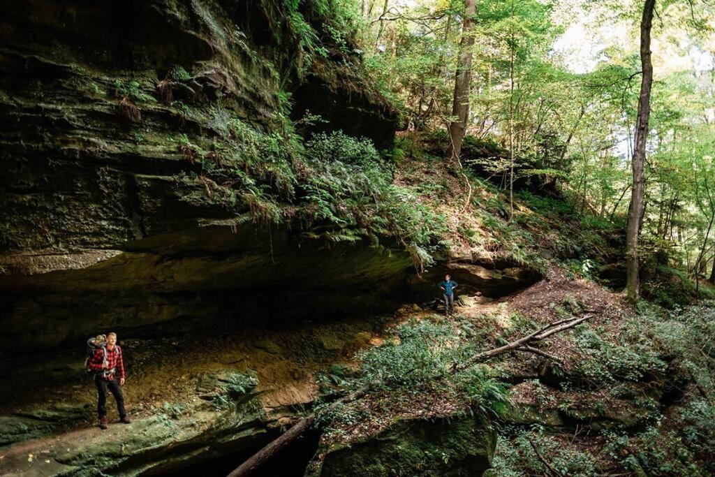 Dunlap Hollow A-Frame Rockbridge Exteriér fotografie