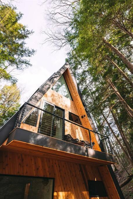 Dunlap Hollow A-Frame Rockbridge Exteriér fotografie